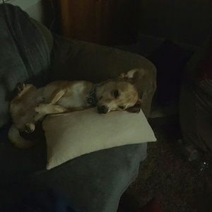 Meet your Posher, Garret